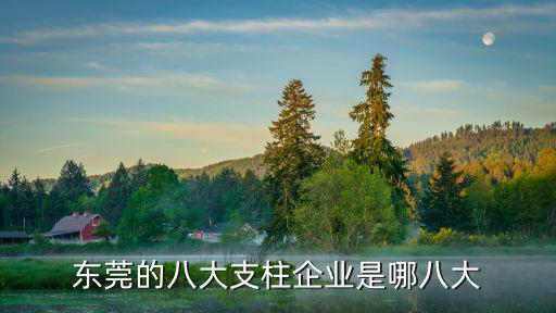 東莞二級企業，東莞的知名企業