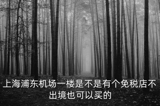 上海浦東機(jī)場一樓是不是有個(gè)免稅店不出境也可以買的