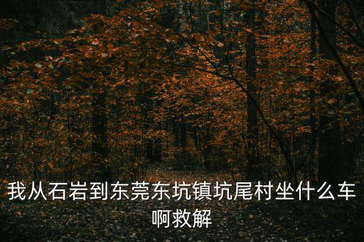 我從石巖到東莞東坑鎮(zhèn)坑尾村坐什么車啊救解