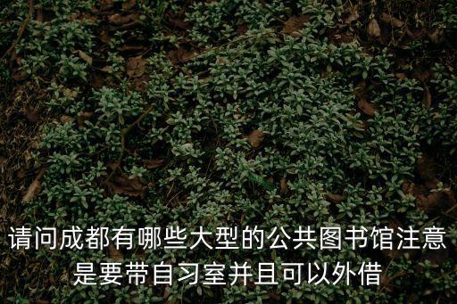 成都市圖書館共享平臺，請問成都有哪些大型的公共圖書館注意是要帶自習室并且可以外借