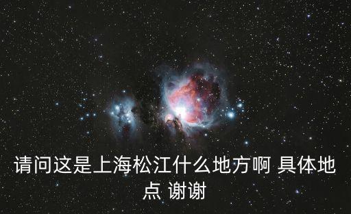 請問這是上海松江什么地方啊 具體地點 謝謝