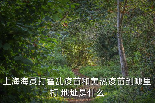 上海海員打霍亂疫苗和黃熱疫苗到哪里打 地址是什么