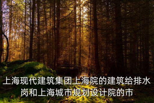 上海現代建筑集團上海院的建筑給排水崗和上海城市規劃設計院的市