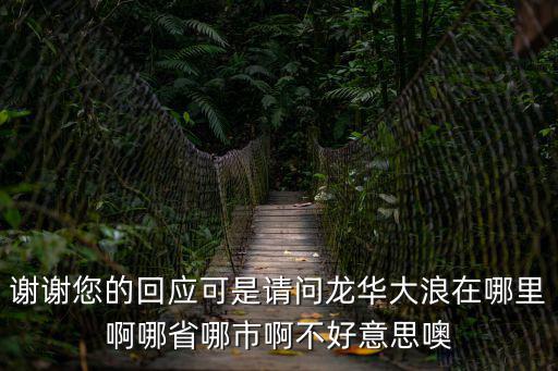 謝謝您的回應可是請問龍華大浪在哪里啊哪省哪市啊不好意思噢