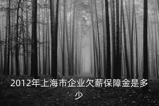 上海市欠薪保障如何計算，2012年上海市企業欠薪保障金是多少