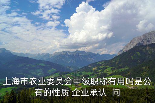 上海市農業委員會中級職稱有用嗎是公有的性質 企業承認  問