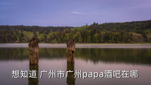 想知道 廣州市廣州papa酒吧在哪