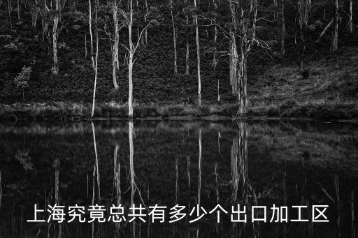 上海市歷年加工貿易數據，2011年上海的對外貿易進出口總額是多少