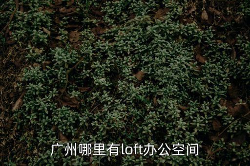 廣州哪里有l(wèi)oft辦公空間
