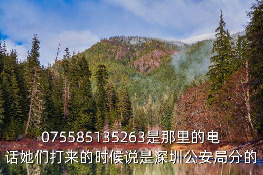 075585135263是那里的電話她們打來的時候說是深圳公安局分的