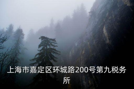 上海市嘉定區(qū)環(huán)城路200號第九稅務所