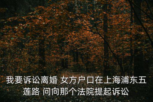 我要訴訟離婚 女方戶口在上海浦東五蓮路 問向那個法院提起訴訟