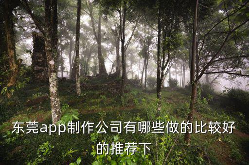 東莞高偉是做手機的，東莞APP制作比較好的有哪些公司