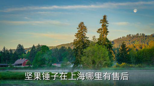 堅(jiān)果錘子在上海哪里有售后