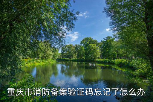 重慶市消防備案驗(yàn)證碼忘記了怎么辦