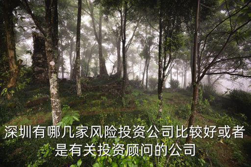 深圳有哪幾家風(fēng)險投資公司比較好或者是有關(guān)投資顧問的公司