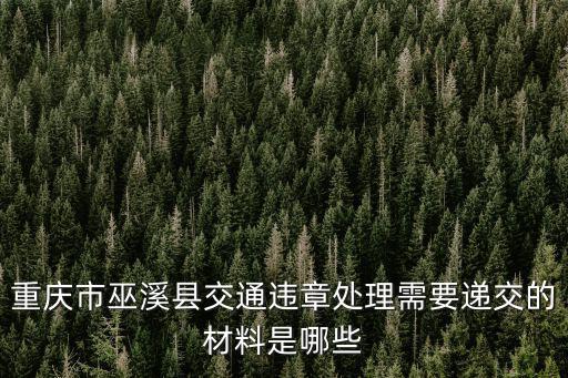 重慶市巫溪縣交通違章處理需要遞交的材料是哪些