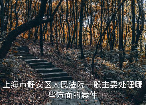 上海市靜安區人民法院一般主要處理哪些方面的案件