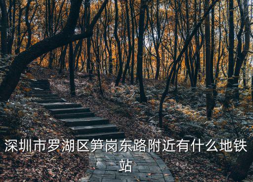 深圳市羅湖區筍崗東路附近有什么地鐵站