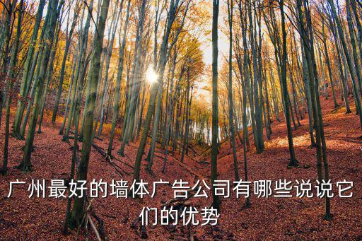 廣州最好的墻體廣告公司有哪些說說它們的優(yōu)勢