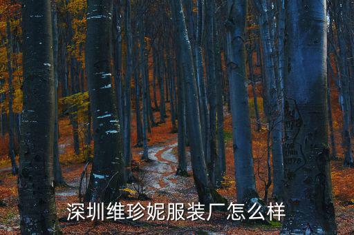 深圳維珍妮服裝廠怎么樣