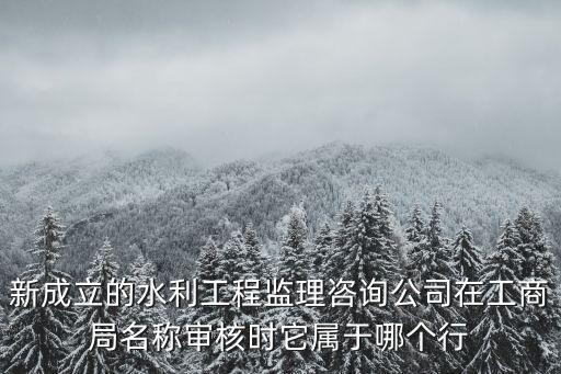 新成立的水利工程監理咨詢公司在工商局名稱審核時它屬于哪個行