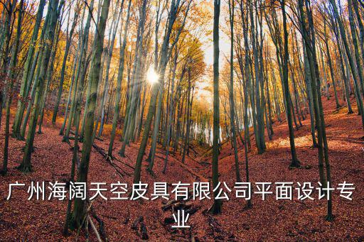 廣州皮具設計有限公司，廣州市鴻豐皮具有限公司可以定制包包嗎