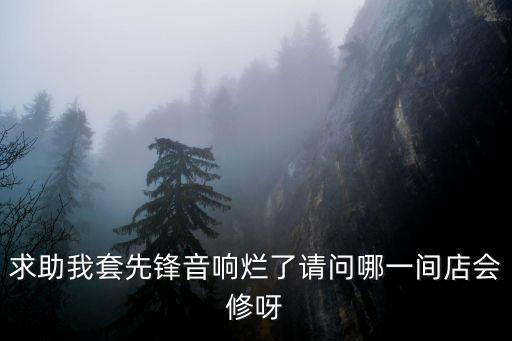 求助我套先鋒音響爛了請(qǐng)問(wèn)哪一間店會(huì)修呀