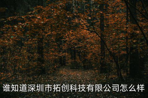 誰知道深圳市拓創科技有限公司怎么樣