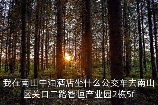 我在南山中油酒店坐什么公交車去南山區關口二路智恒產業園2棟5f