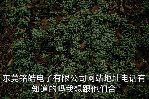 東莞銘皓電子有限公司網站地址電話有知道的嗎我想跟他們合