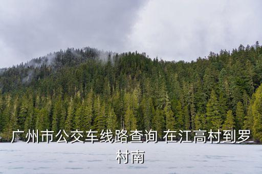 廣州市公交車線路查詢 在江高村到羅村南
