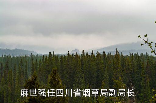 麻世強任四川省煙草局副局長