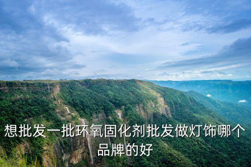 想批發一批環氧固化劑批發做燈飾哪個品牌的好