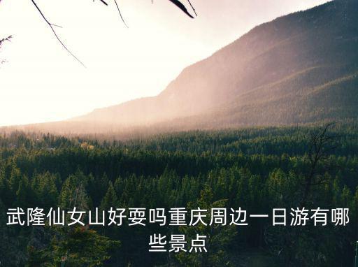武隆仙女山好耍嗎重慶周邊一日游有哪些景點