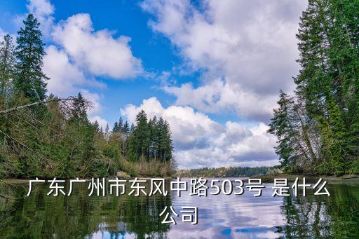 廣東廣州市東風中路503號 是什么公司