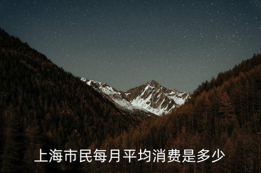上海市民每月平均消費是多少