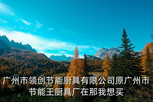 廣州市領創節能廚具有限公司原廣州市節能王廚具廠在那我想買