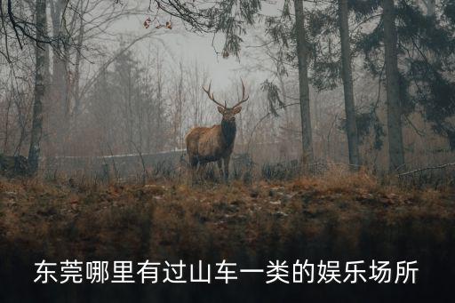 東莞哪里有過山車一類的娛樂場所