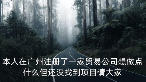 本人在廣州注冊了一家貿易公司想做點什么但還沒找到項目請大家