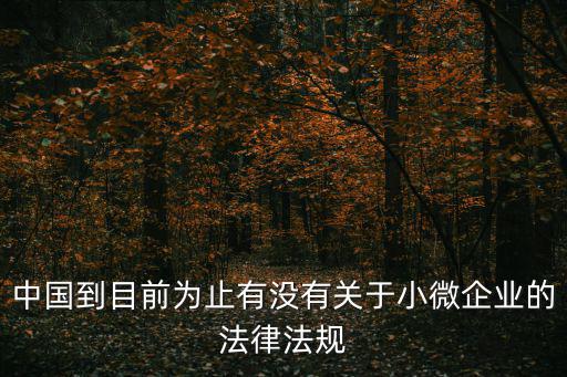 中國到目前為止有沒有關于小微企業的法律法規