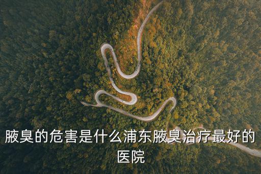 腋臭的危害是什么浦東腋臭治療最好的醫院