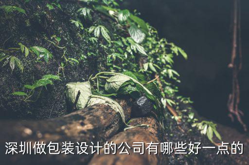 深圳做包裝設(shè)計的公司有哪些好一點的
