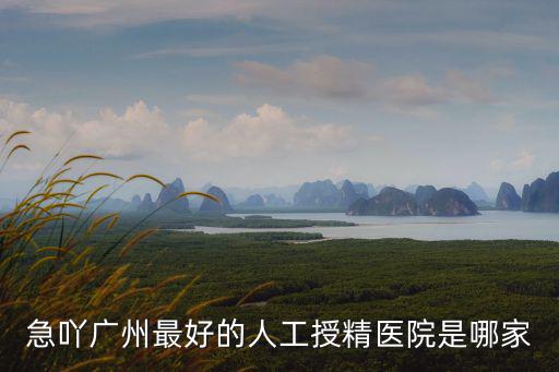 廣州銀河陽光生物，急吖廣州最好的人工授精醫院是哪家