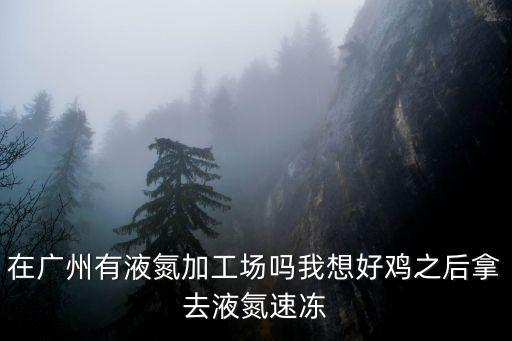 在廣州有液氮加工場嗎我想好雞之后拿去液氮速凍