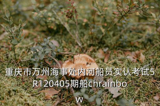 重慶市萬州海事處內河船員實認考試5R120405期船chrainbow
