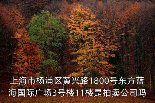 上海市楊浦區黃興路工商局，上海楊浦區黃興路靠松花冮路到烏鎮怎么走