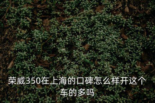 榮威350在上海的口碑怎么樣開這個車的多嗎