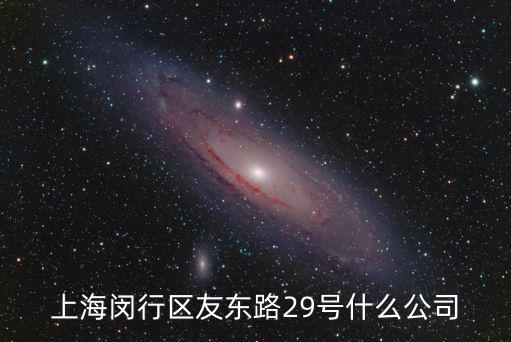 上海閔行區(qū)友東路29號什么公司