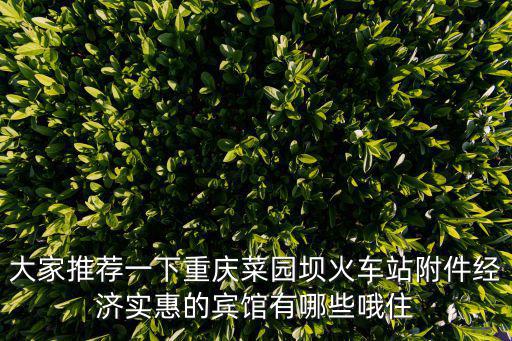 大家推薦一下重慶菜園壩火車站附件經(jīng)濟(jì)實(shí)惠的賓館有哪些哦住